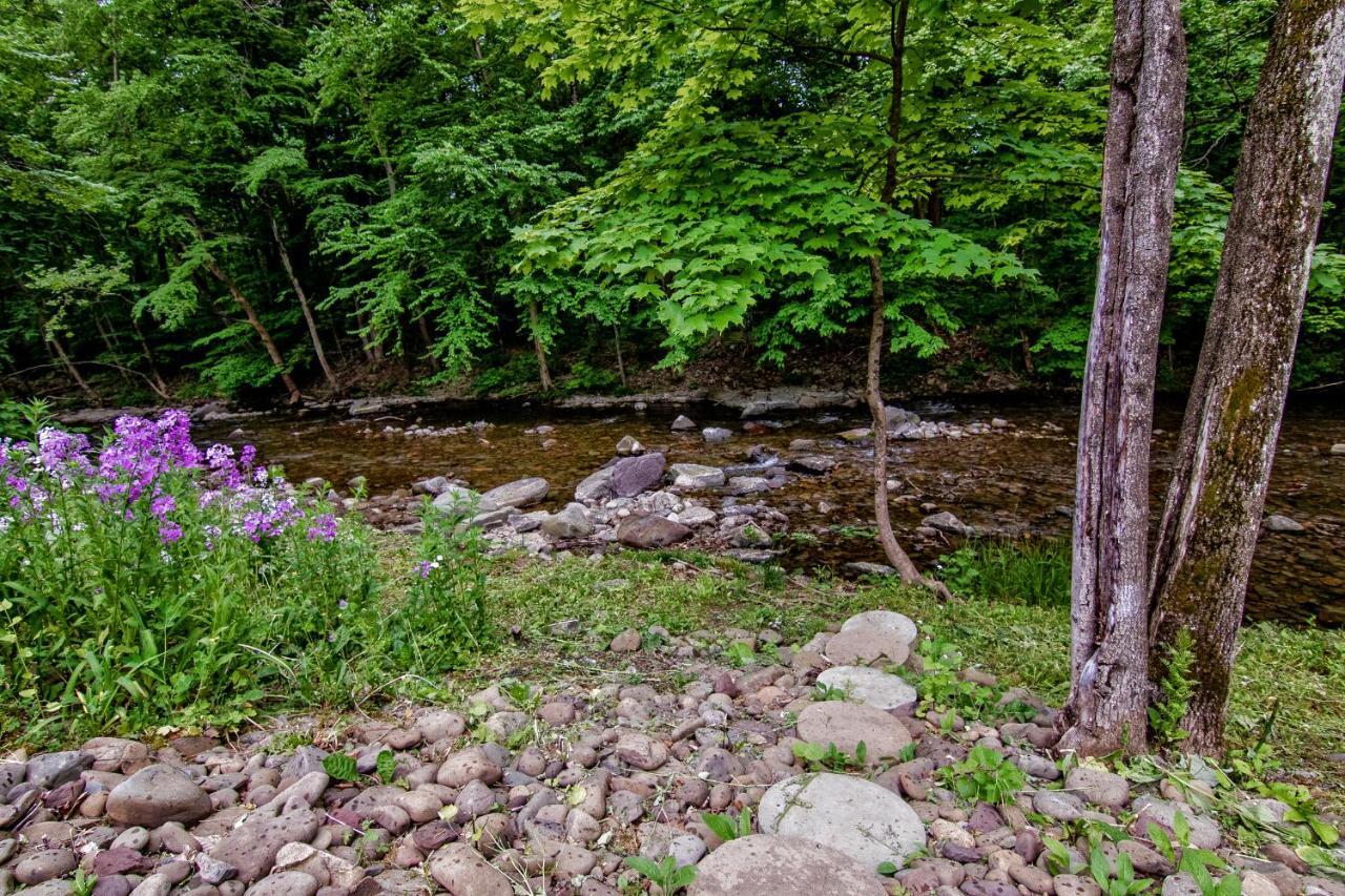 טנרסוויל Cabin By The Creek With Private Creek Access מראה חיצוני תמונה