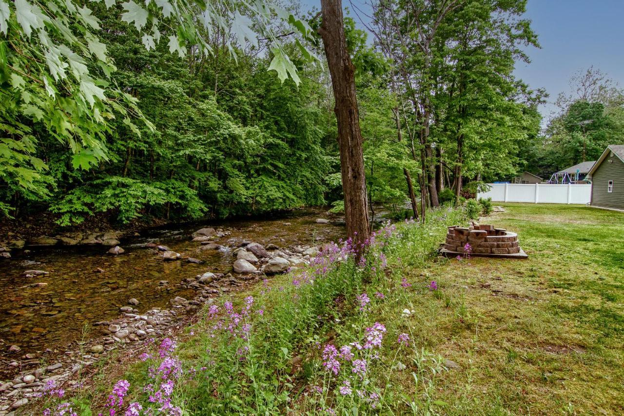 טנרסוויל Cabin By The Creek With Private Creek Access מראה חיצוני תמונה